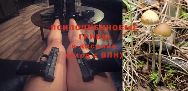 МДПВ Медногорск