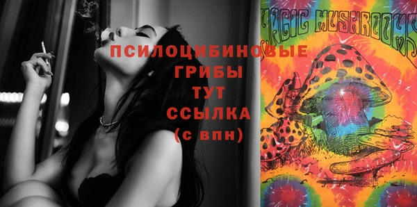 a pvp Медвежьегорск