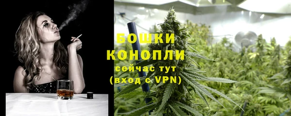 МДПВ Медногорск