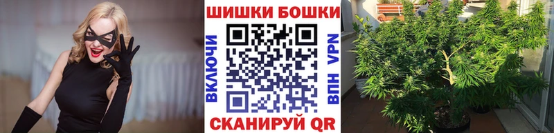 Купить где  Людиново  Бошки Шишки OG Kush 